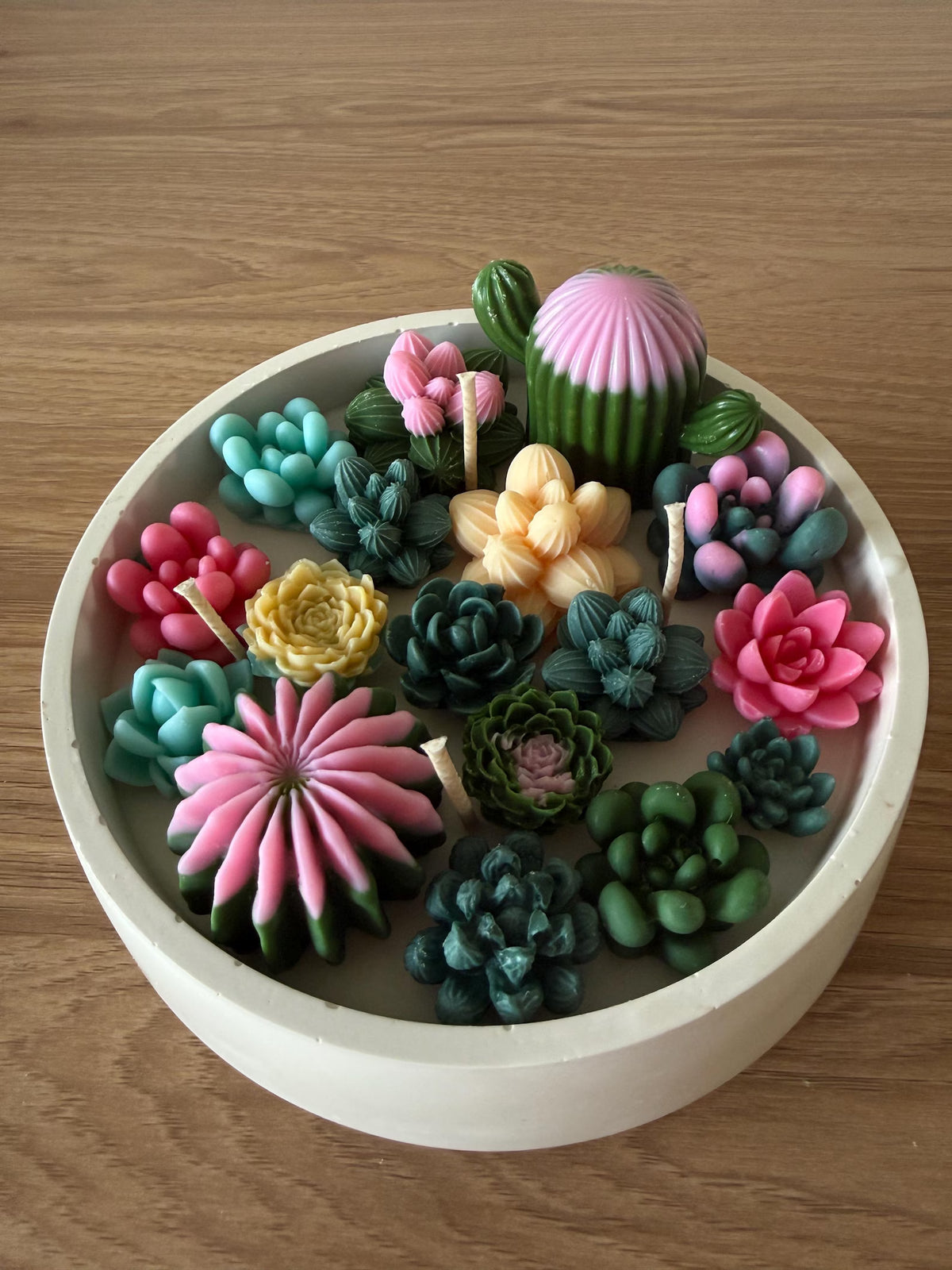 Succulent Soy Wax Candle Bowl | Handmade Cactus Candle Garden | Unique Home Decor