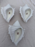 Seashell Soy Wax Candle | Handmade Hydrostone Shell Bowl | Coastal Home Decor | Gift for Her