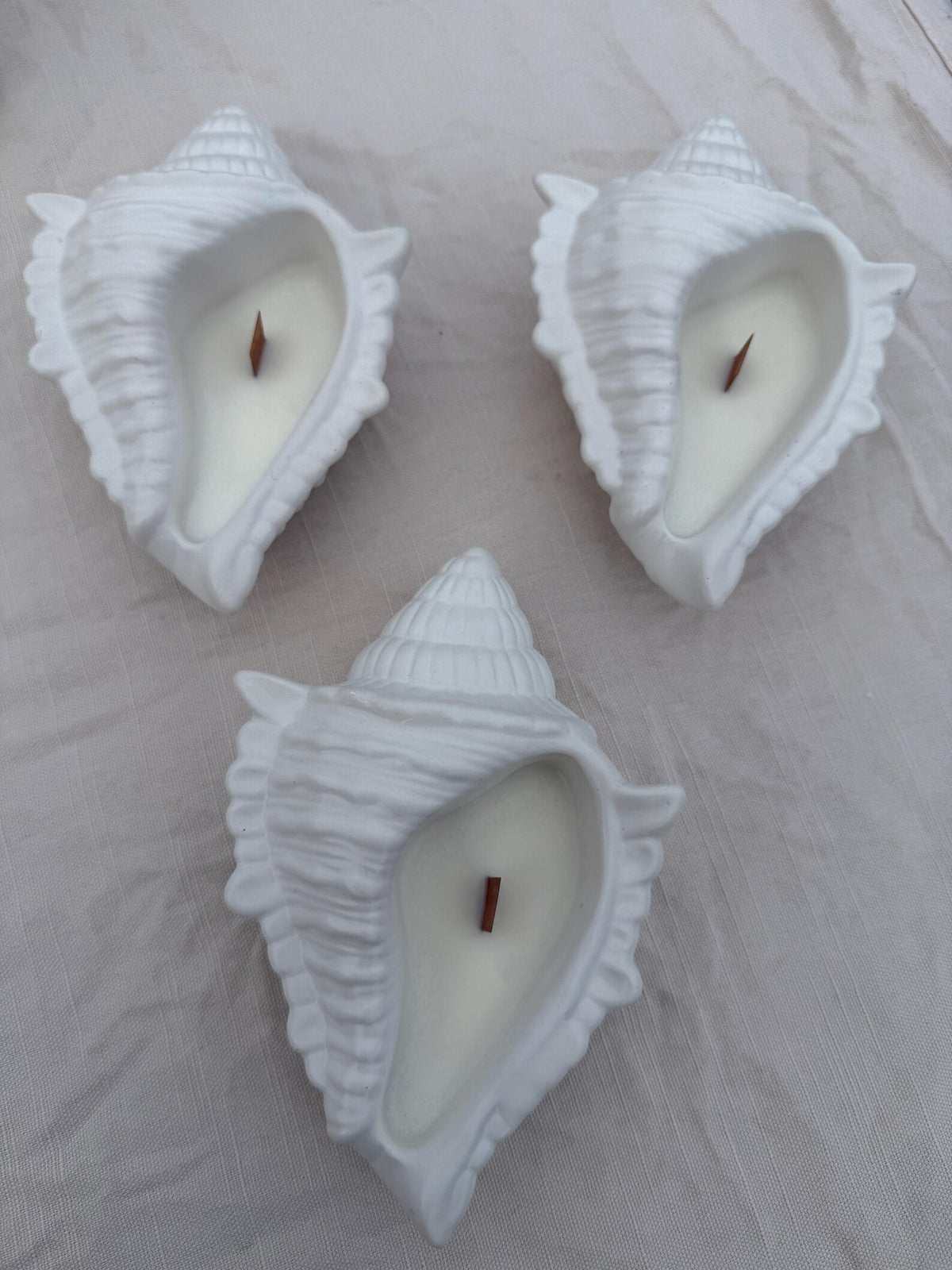 Seashell Soy Wax Candle | Handmade Hydrostone Shell Bowl | Coastal Home Decor | Gift for Her
