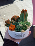 Handmade Cactus Garden Soy Wax Candle | Handmade Decorative Bowl | Succulent Candle | Botanical Home Decor